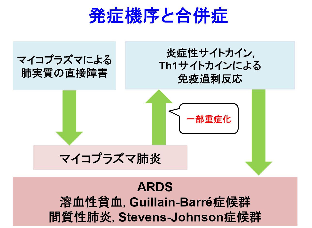 【疾患】マイコプラズマ肺炎のまとめ【適宜更新中】｜踊る救急医