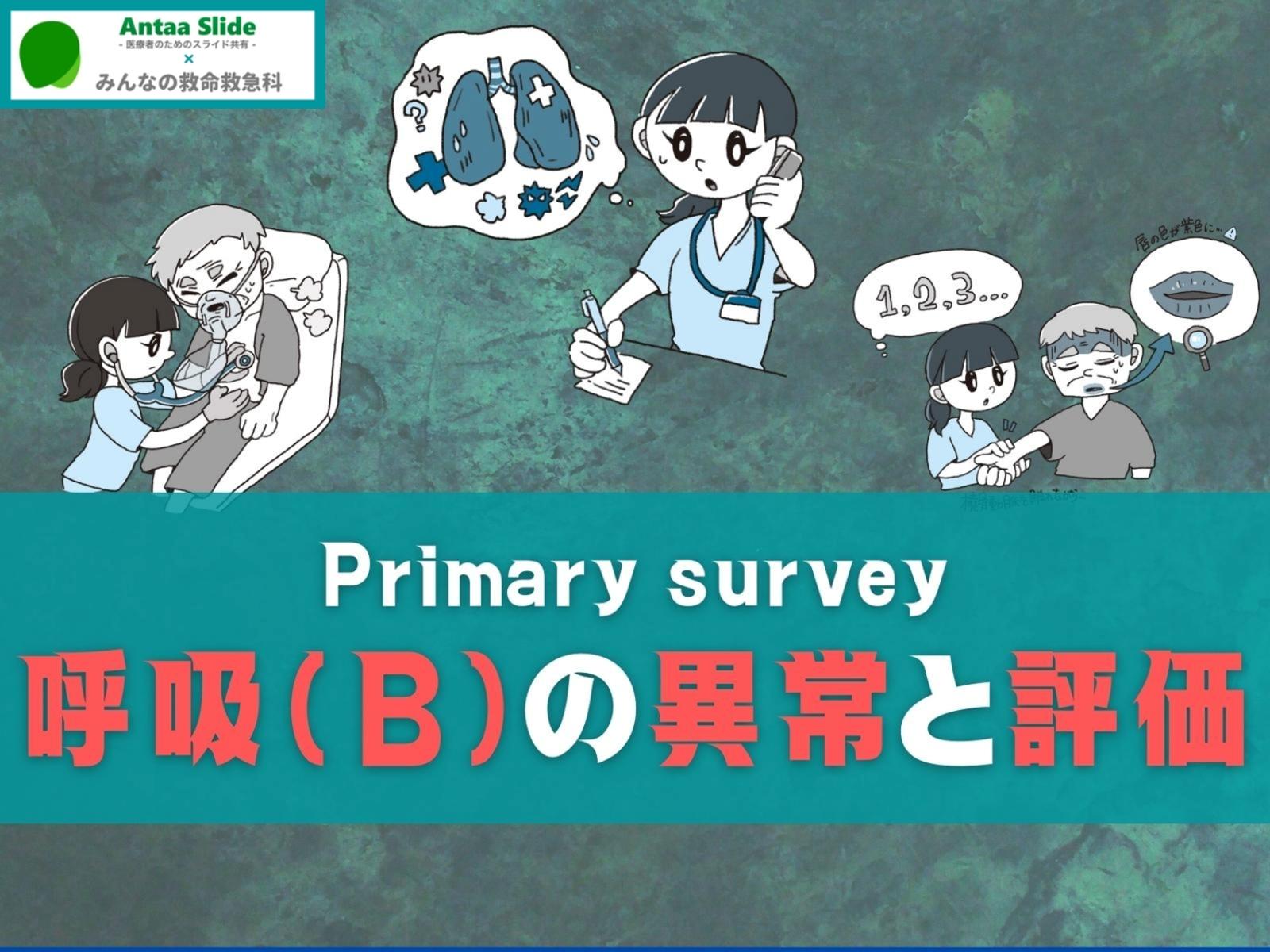 健康・医学 pals PALS Algorithms 2024 (Pediatric Advanced Life Support)